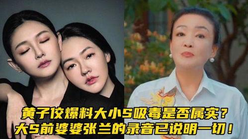 大s吸毒的最新爆料,最新爆料揭露惊人内幕  第2张