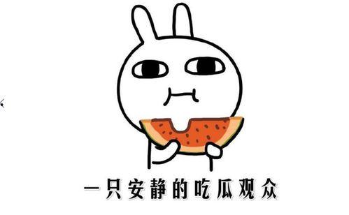 抖音吃瓜有什么网红,揭秘热门网红背后的故事